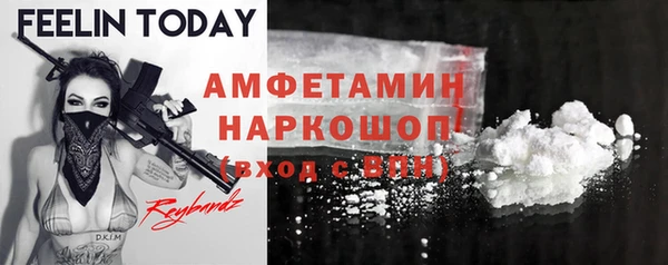 индика Алексин