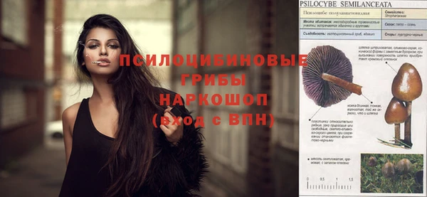 не бодяженный Абаза