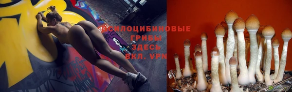 не бодяженный Абаза