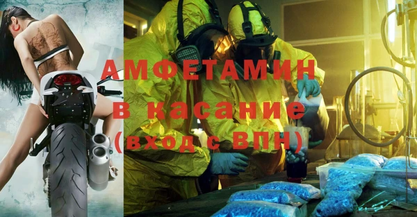 индика Алексин