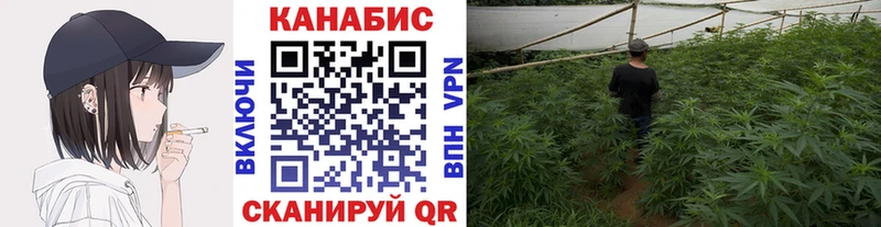 где купить наркотик  Дмитров  KRAKEN вход  Бошки марихуана марихуана 